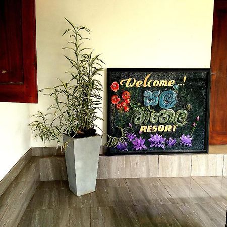 Salmanel Resort ラトゥナプラ エクステリア 写真